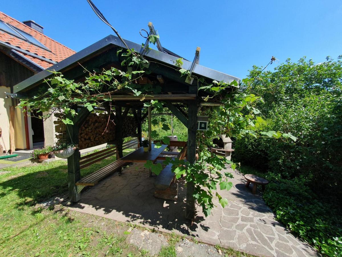 Das Gruene Haus Am Hexenstieg Rubeland Luaran gambar