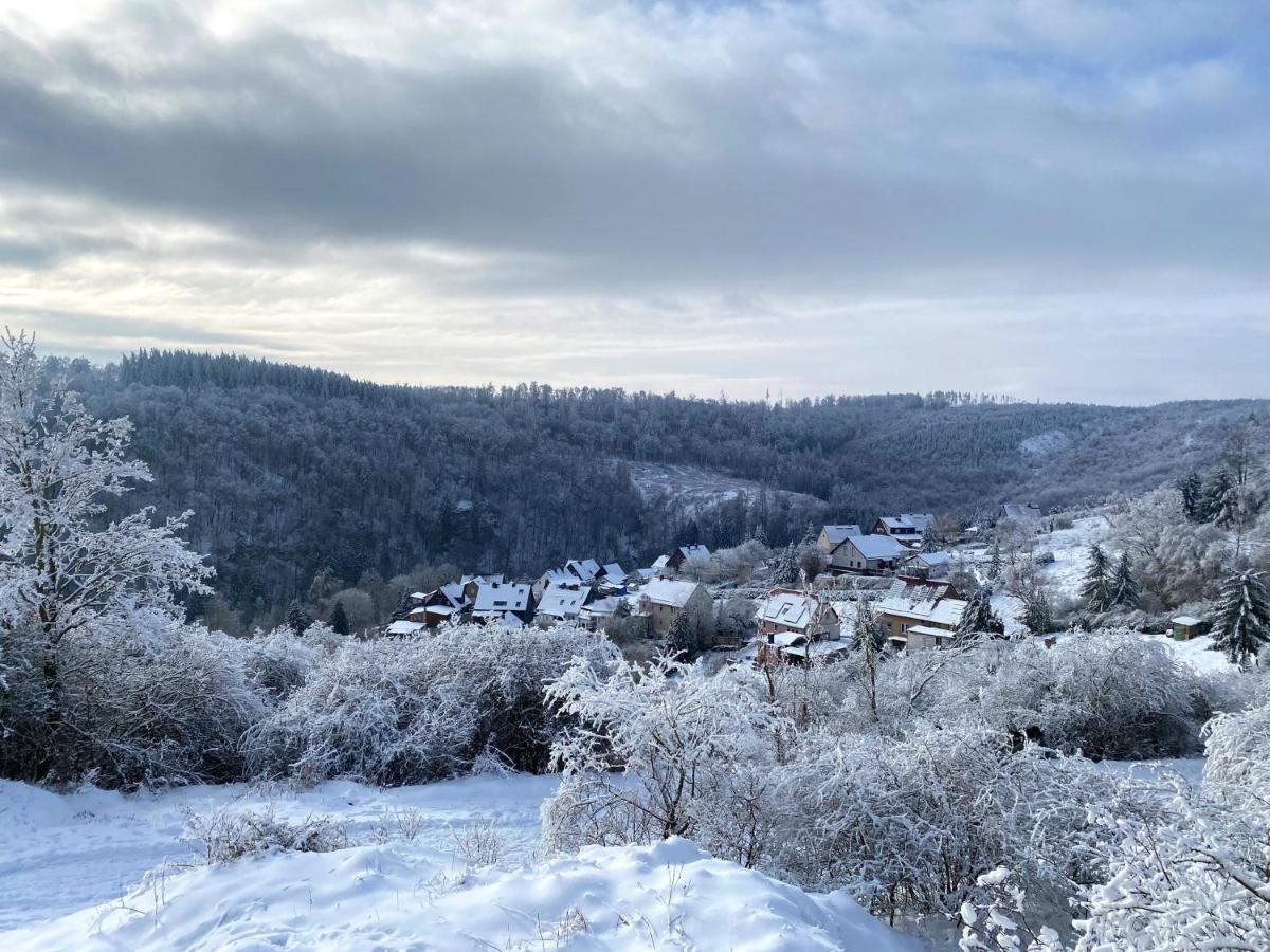 Das Gruene Haus Am Hexenstieg Rubeland Luaran gambar