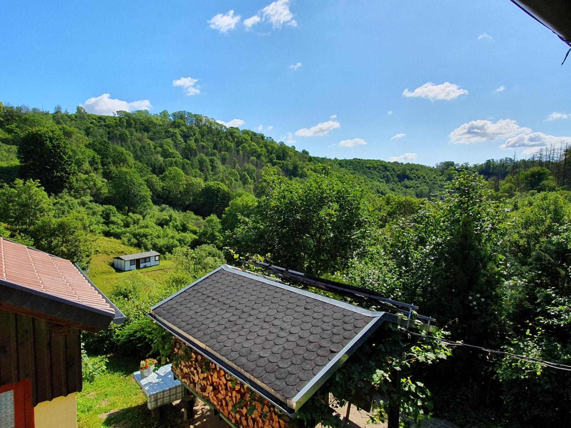 Das Gruene Haus Am Hexenstieg Rubeland Luaran gambar